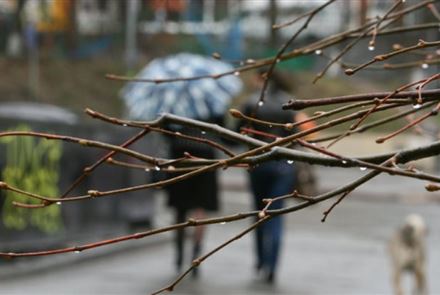 Похолодание прогнозируют казахстанские синоптики в ближайшие дни