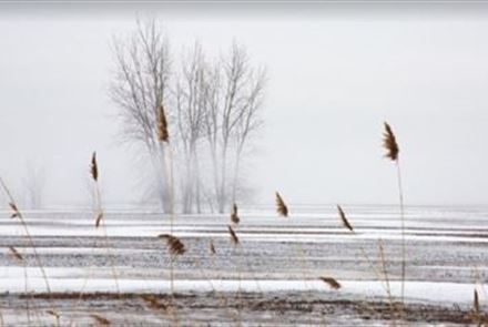 Снег ожидается на севере Казахстана