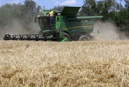 Дефицита зерна в РК нет - вице-министр сельского хозяйства