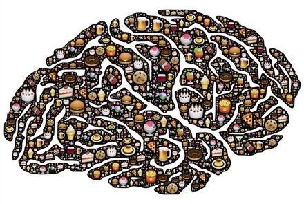 Мозговая диета, или что нужно есть, чтобы хорошо соображать