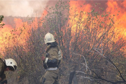 Пожар в Карагандинской области ликвидирован