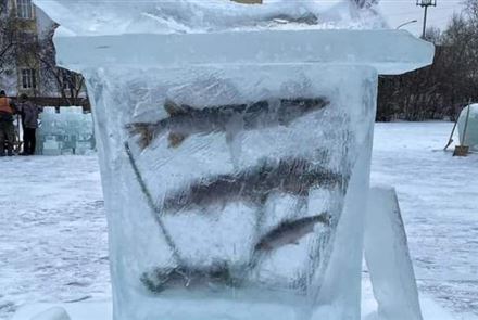 75 миллионов тенге на ледяные скульптуры возмутили жителей Петропавловска