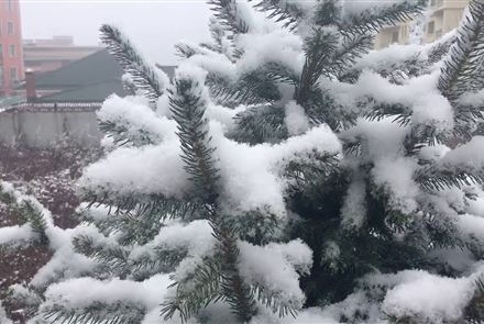 Снегопады и метели: опубликован прогноз погоды на январь-2023 в Казахстане