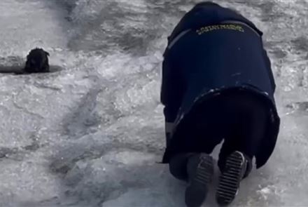 В Алматы мужчина спас щенка, который провалился в ледяную прорубь