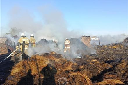 В Костанайской области горело здание хозяйственных построек