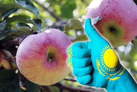 Минюст защищает географическое происхождение казахстанских товаров