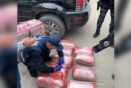 В Актау полицейские изъяли более 79 кг марихуаны 