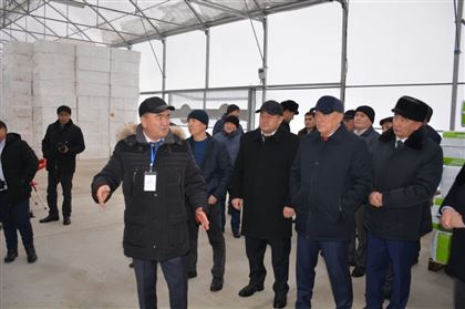 Депутаты Мажилиса посетили предприятия Сарыагашского района