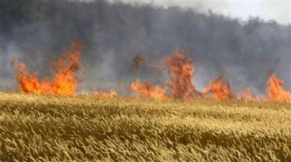 В Венесуэле из-за пожара на плантации погибли 12 человек