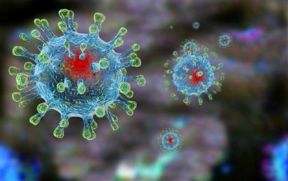 Первый случай заболевания коронавирусом зарегистрирован в ОАЭ