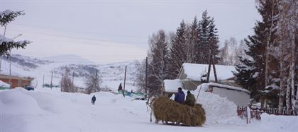 Больше 500 семей, переселившихся с юга страны по госпрограмме, нашли в Восточном Казахстане дом и работу