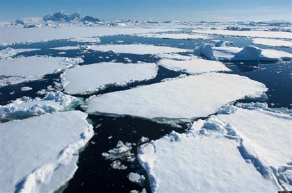 В Антарктиде зафиксирован новый температурный рекорд