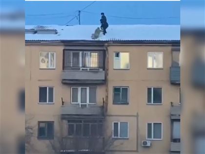 Полицейские сняли голого карагандинца с крыши дома