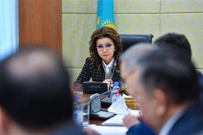 "Некачественные законы дискредитируют государственную власть" - Назарбаева
