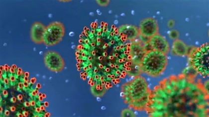60 процентов населения Земли может заболеть уханьским коронавирусом