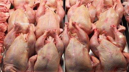 Казахстан ограничил ввоз мяса птицы из Украины