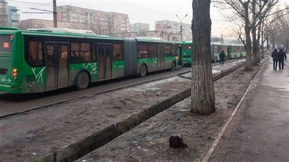 В Алматы протянут новую линию BRT