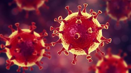 Ученые уточнили время жизни коронавируса на поверхностях