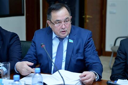 "Елбасы определил, что общими усилиями казахстанцы преодолеют любые трудности" - сенатор