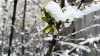 9 апреля в Казахстане сохранятся сильные осадки в виде дождя и снега