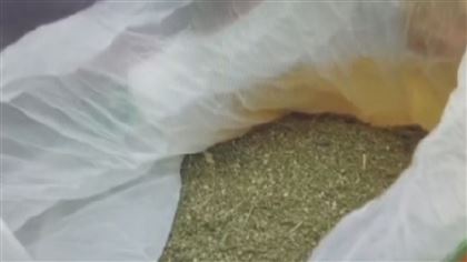 В Мангистауской области у мужчины в машине обнаружили 4 килограмма марихуаны