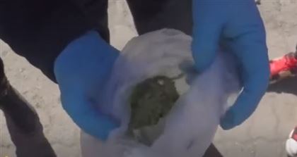 Более 100 килограммов наркотиков изъяли в ВКО