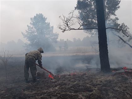 2,5 тысячи гектаров реликтового леса уничтожил пожар в ВКО