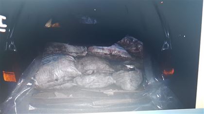 Более тонны воблы наловили незаконным способом уральские рыбаки