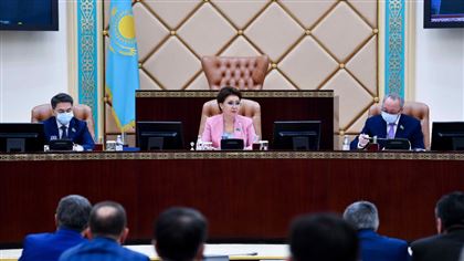 Дарига Назарбаева высказалась о работе таможенников и пограничников в борьбе с наркотрафиком 