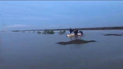 Из-за прорыва дамбы в Узбекистане два казахстанских села оказались под водой