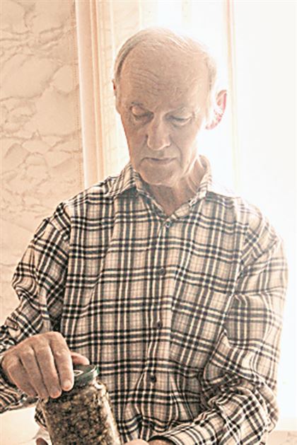 От стройности до профилактики инсульта: простой пенсионер лечится от болезней одуванчиками