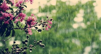 Дожди с грозами ожидаются в Казахстане 14 мая