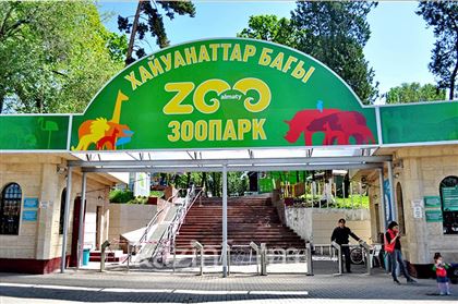 Открытие зоопарка в Алматы решили отложить 