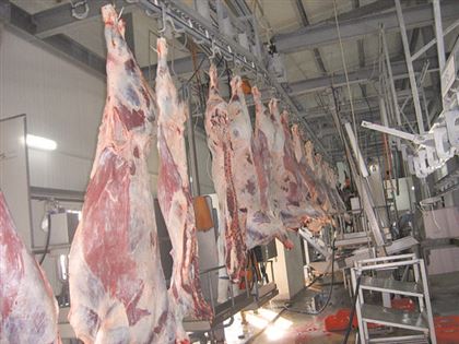А хвост и ныне там: 10 лет проект "мраморное мясо на экспорт" приводит к скандалам