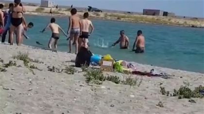 Установлены лица, избившие тюленя на пляже в Мангистау