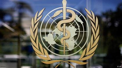 Минздрав предложил ВОЗ помочь медикам в казахстанских регионах