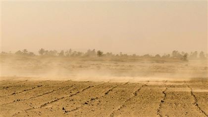 В трех регионах Казахстана ожидается пыльная буря