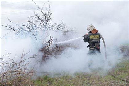 Четыре лесных пожара пытаются потушить казахстанские спасатели