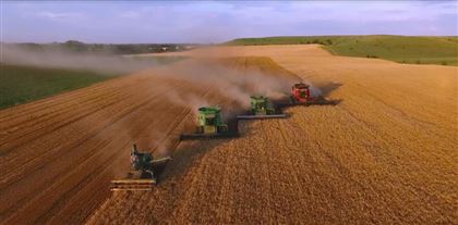 В семи регионах РК начали убирать урожай зерновых культур