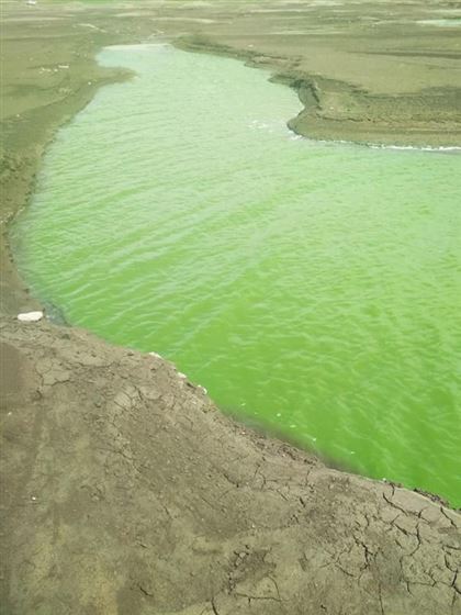 Не тот колор: почему вода в казахстанском водохранилище окрасилась в зелёный цвет