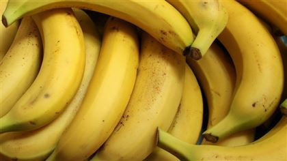 В мире бананы могут стать дефицитом
