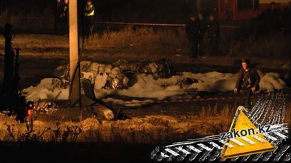 "Никаких стрельб не было": жена погибшего врача прокомментировала версию крушения Ан-28 под Алматы