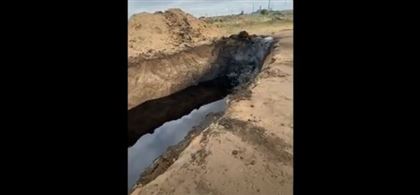 Экологи бьют тревогу: в Казахстане обнаружена своя "Камчатка"