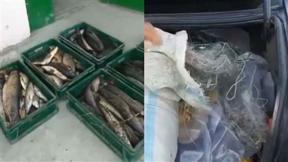 В Алматинской области у браконьеров изъяли 100 килограммов рыбы и 100 метров сети