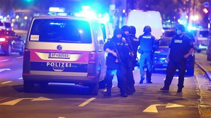 По делу о теракте в Вене задержали 14 человек