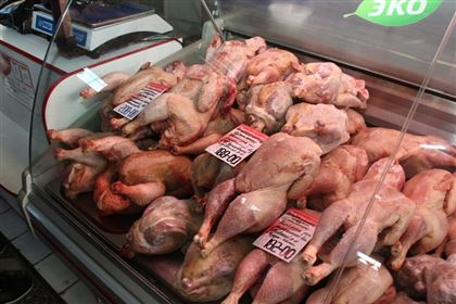 Из Омской области не выпустили в Казахстан 7 тонн курицы и тонну минтая