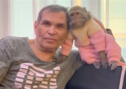 Бари Алибасов решил оставить наследство обезьяне Маше