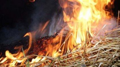 В Кызылординской области мужчина сжег сена на 2,5 миллиона тенге