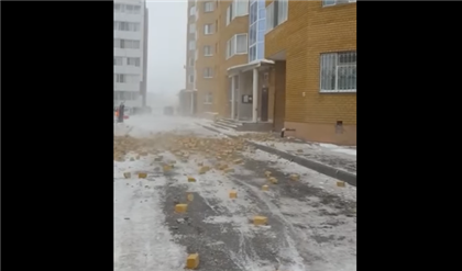 Казахстанцу чуть не упал на голову кирпич - стены жилого дома обваливаются на людей
