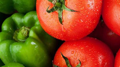 В казахстанских томатах и перце обнаружили опасный вирус